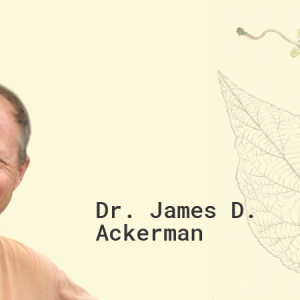 Dr. James D. Ackerman, Jr