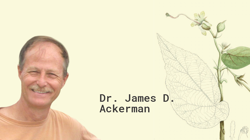 Dr. James D. Ackerman, Jr