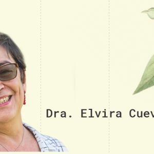 Dra. Elvira Cuevas