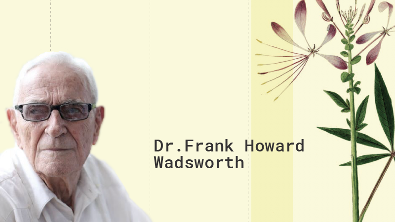 Dr. Frank Howard Wadsworth