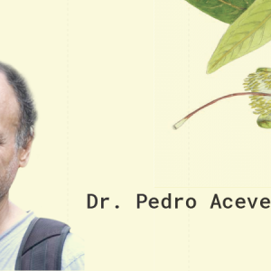 Dr. Pedro Acevedo