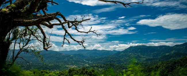 Utuado. Foto por @frankeliasphoto.