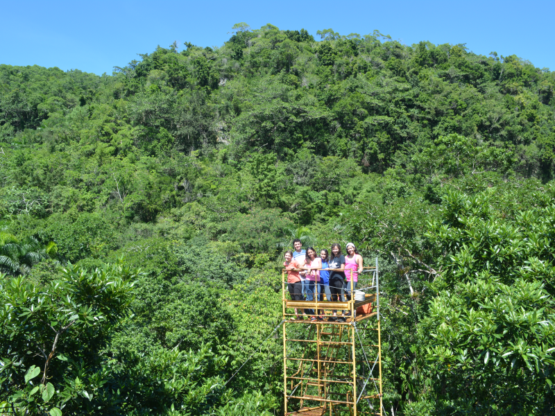 Celebrating 30 Years of Citizens of the Karst: A Story of Struggle and Hope for the Protection of the Environment